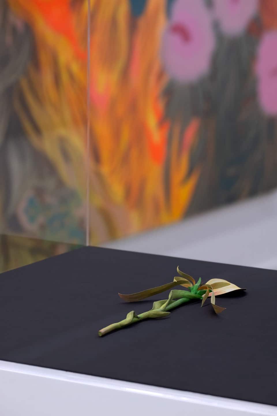 Giving Entry at NAMARA projects